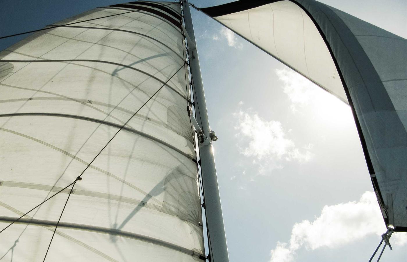 Portrait of Dr. Alex Peterson